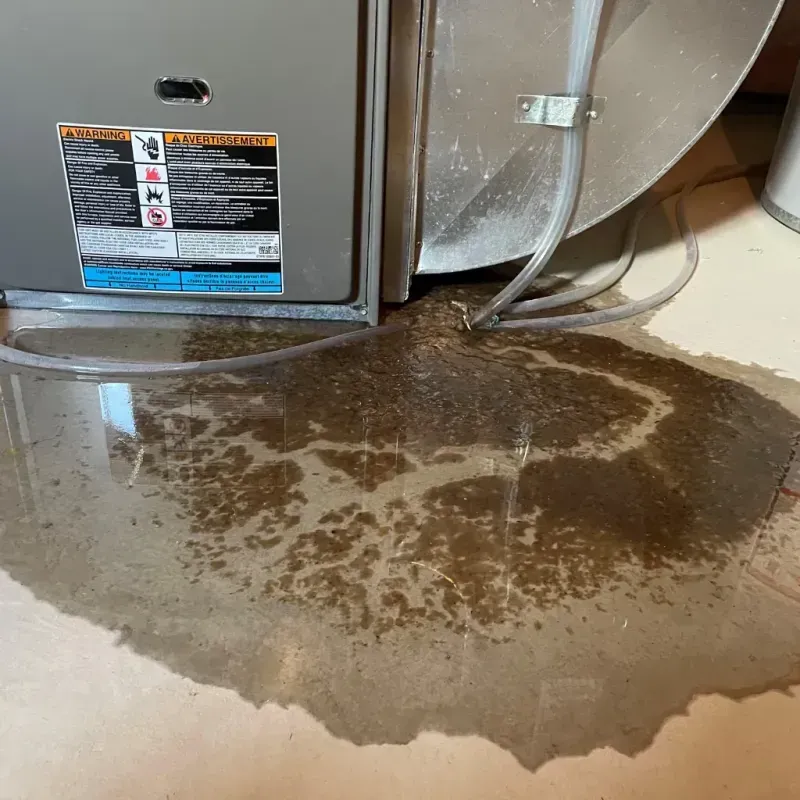 Appliance Leak Cleanup in Kenly, NC